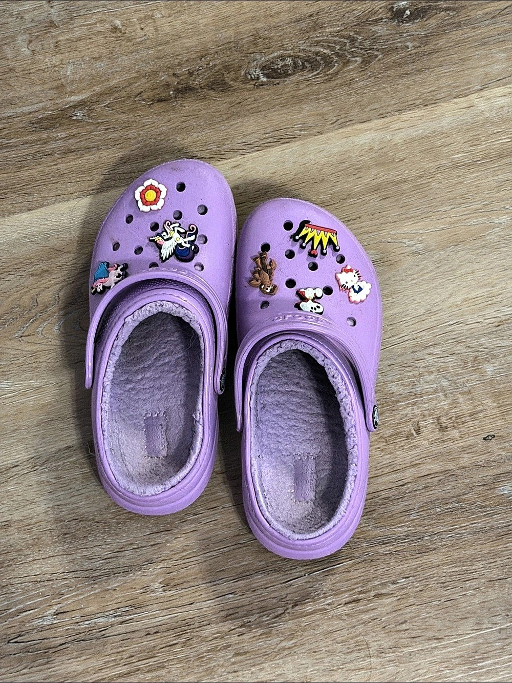 Crocs Classic Lined Clog Purple Charm Clogs